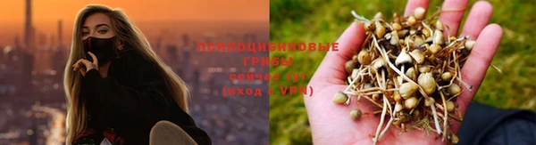 не бодяженный Кодинск