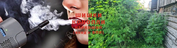дмт Кинешма