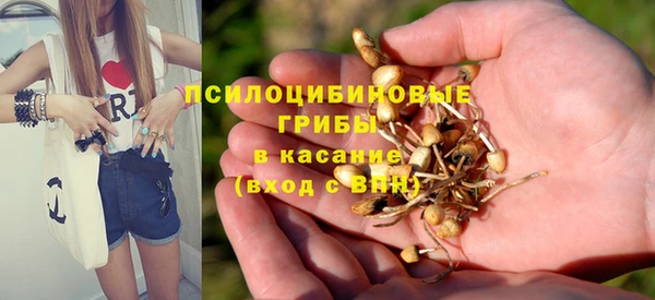мяу мяу мука Козловка