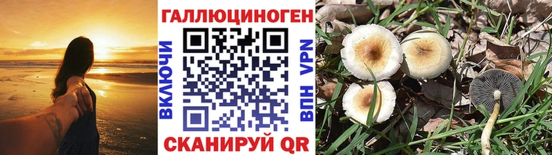 Галлюциногенные грибы MAGIC MUSHROOMS  Купить закладки  Прохладный 