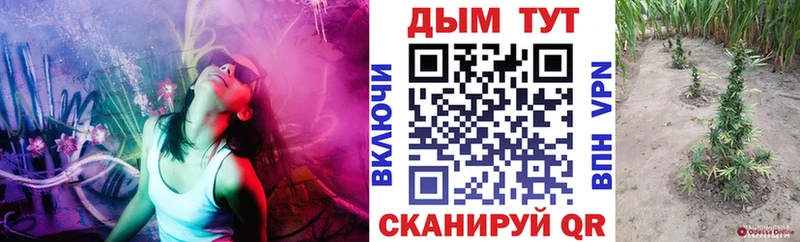 МАРИХУАНА марихуана  Купить закладки  Прохладный 